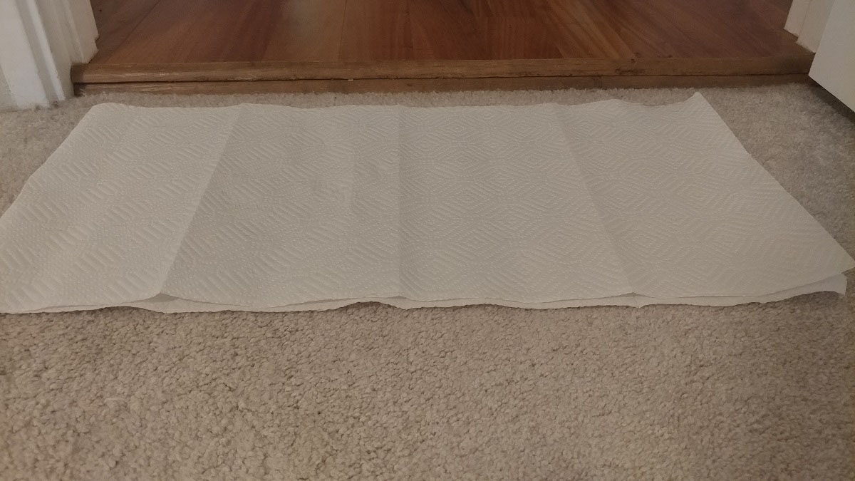 Step 5: Blot the carpet with dry paper towels to remove excess moisture and soap.