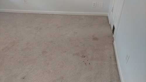 Before using the carpet cleaner