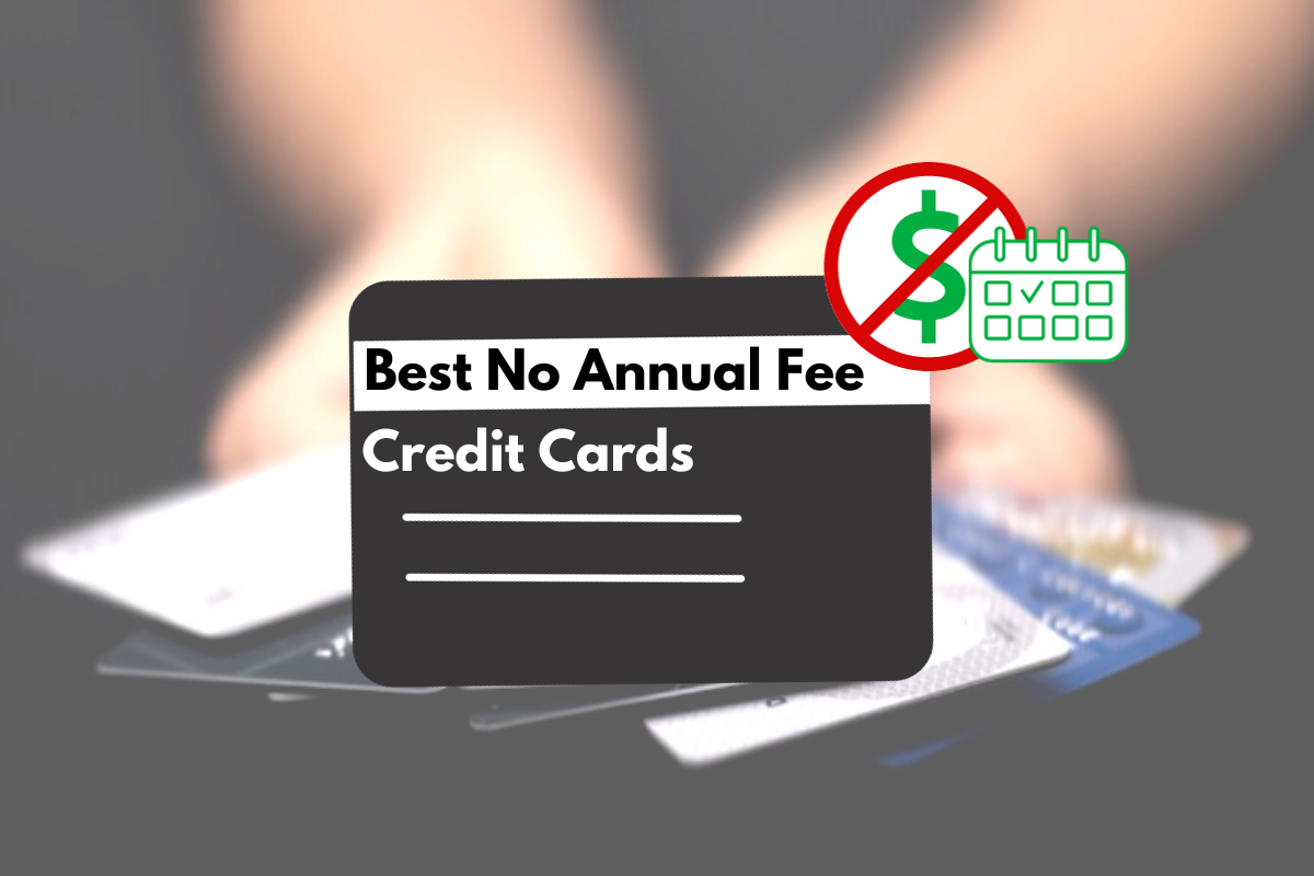 Best No Annual Fee Credit Cards for 2024